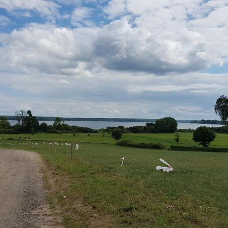 Ferienhaus Plau Am See, Direkt Am Wasser エクステリア 写真
